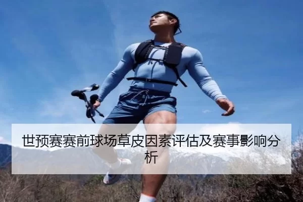 世预赛赛前球场草皮因素评估及赛事影响分析